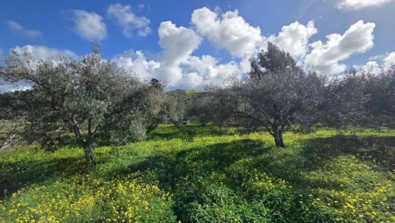 Sivas Ihr Zuhause im kretischen Bergidyll: 1.498 m² Bauland nahe Sivas Kern, Kreta Grundstück kaufen